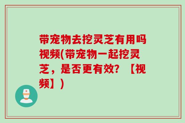 带宠物去挖灵芝有用吗视频(带宠物一起挖灵芝，是否更有效？【视频】)