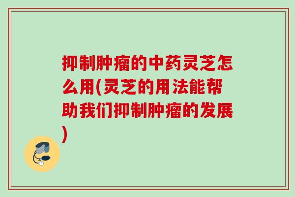 抑制肿瘤的中药灵芝怎么用(灵芝的用法能帮助我们抑制肿瘤的发展)