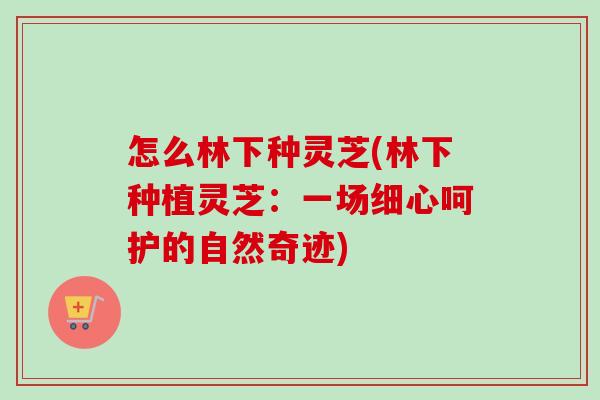 怎么林下种灵芝(林下种植灵芝:一场细心呵护的自然奇迹) 怎么林下种灵芝(林下种植灵芝:一场细心呵护的自然奇迹)