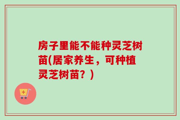 房子里能不能种灵芝树苗(居家养生，可种植灵芝树苗？)