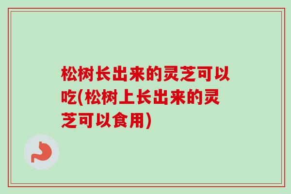松树长出来的灵芝可以吃(松树上长出来的灵芝可以食用)