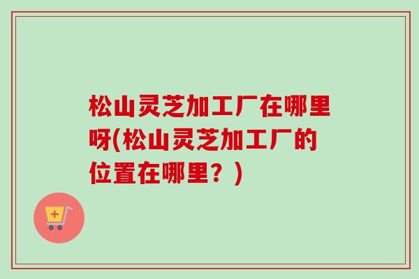松山灵芝加工厂在哪里呀(松山灵芝加工厂的位置在哪里？)