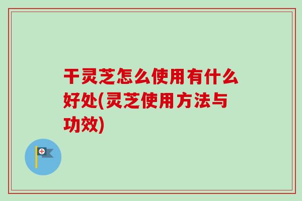干灵芝怎么使用有什么好处(灵芝使用方法与功效)