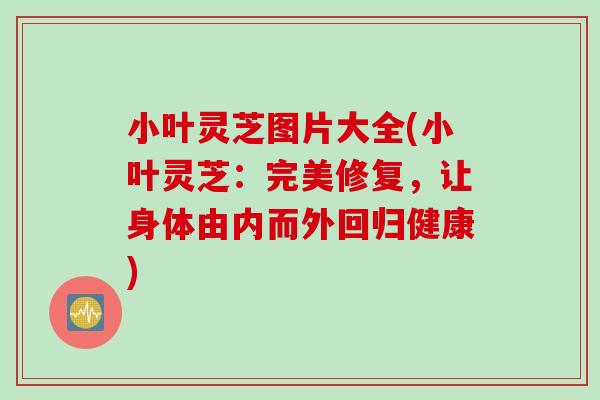小叶灵芝图片大全(小叶灵芝：完美修复，让身体由内而外回归健康)