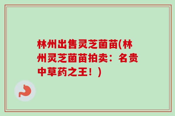 林州出售灵芝菌苗(林州灵芝菌苗拍卖：名贵中草药之王！)
