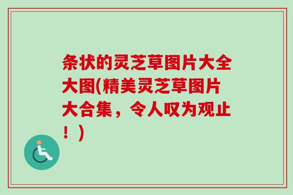 条状的灵芝草图片大全大图(精美灵芝草图片大合集，令人叹为观止！)