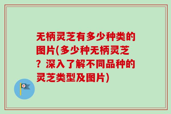 无柄灵芝有多少种类的图片(多少种无柄灵芝？深入了解不同品种的灵芝类型及图片)
