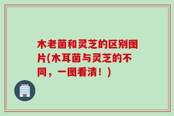 木老菌和灵芝的区别图片(木耳菌与灵芝的不同，一图看清！)