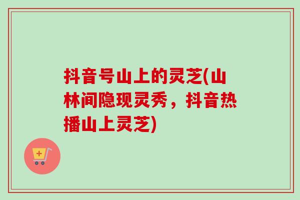 抖音号山上的灵芝(山林间隐现灵秀，抖音热播山上灵芝)