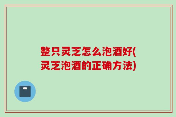 整只灵芝怎么泡酒好(灵芝泡酒的正确方法)