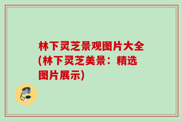 林下灵芝景观图片大全(林下灵芝美景：精选图片展示)