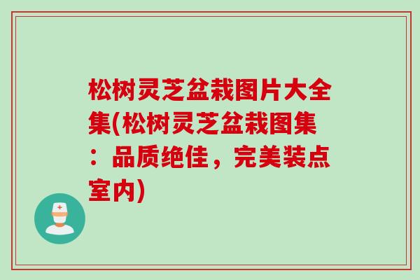 松树灵芝盆栽图片大全集(松树灵芝盆栽图集：品质绝佳，完美装点室内)