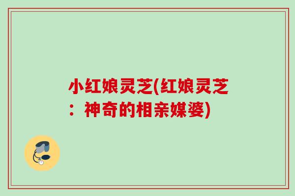 小红娘灵芝(红娘灵芝：神奇的相亲媒婆)