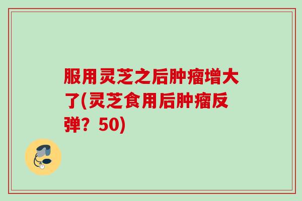 服用灵芝之后肿瘤增大了(灵芝食用后肿瘤反弹？50)