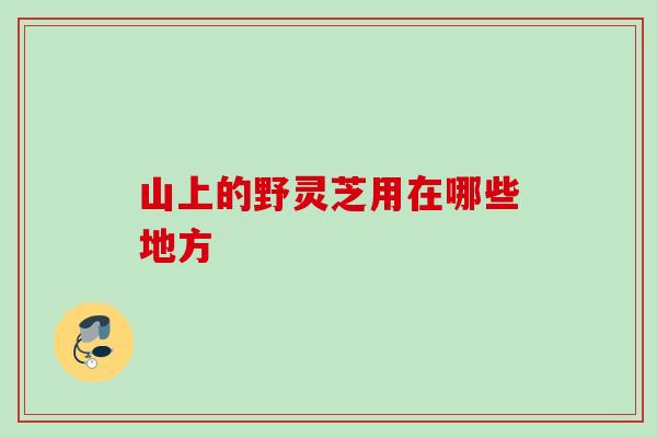 山上的野灵芝用在哪些地方