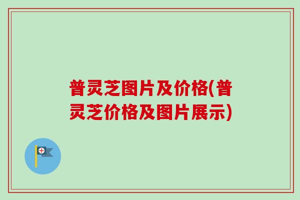 普灵芝图片及价格(普灵芝价格及图片展示)