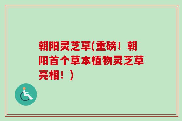 朝阳灵芝草(重磅！朝阳首个草本植物灵芝草亮相！)