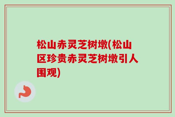 松山赤灵芝树墩(松山区珍贵赤灵芝树墩引人围观)