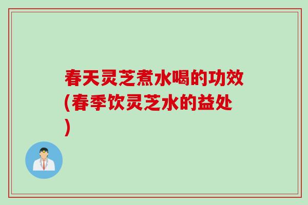 春天灵芝煮水喝的功效(春季饮灵芝水的益处)