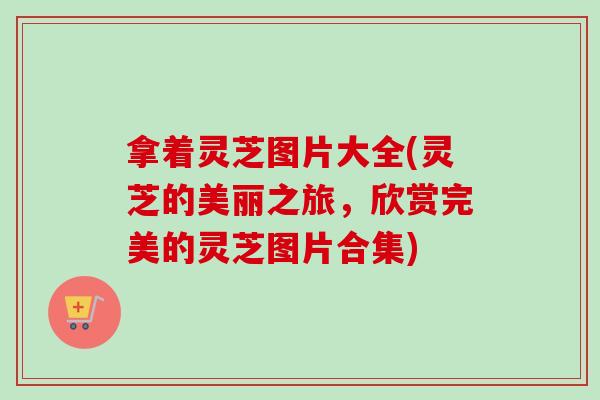 拿着灵芝图片大全(灵芝的美丽之旅，欣赏完美的灵芝图片合集)