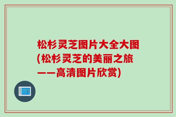 松杉灵芝图片大全大图(松杉灵芝的美丽之旅——高清图片欣赏)