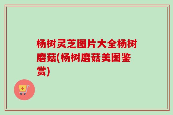杨树灵芝图片大全杨树磨菇(杨树磨菇美图鉴赏)