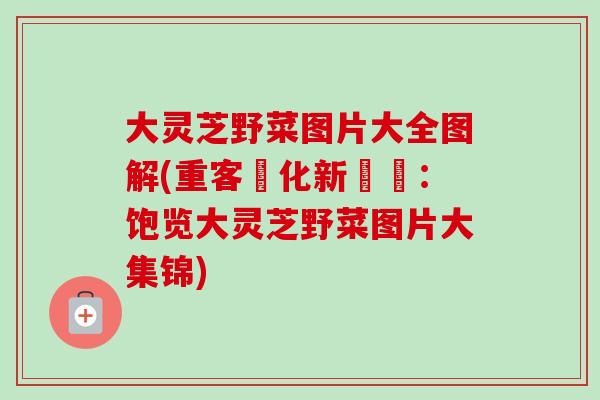 大灵芝野菜图片大全图解(重客製化新標題：饱览大灵芝野菜图片大集锦)