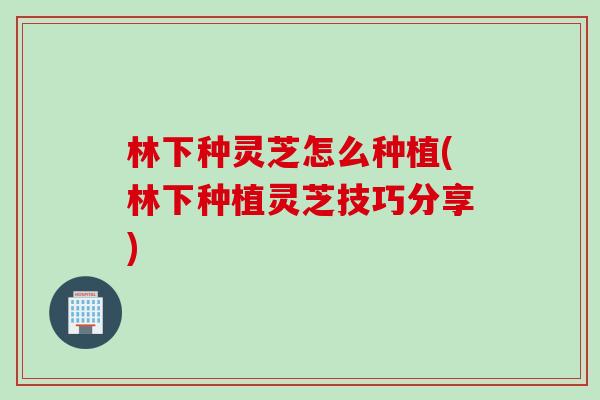 林下种灵芝怎么种植(林下种植灵芝技巧分享)