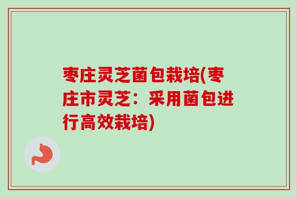 枣庄灵芝菌包栽培(枣庄市灵芝：采用菌包进行高效栽培)