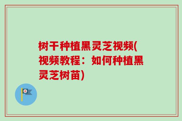 树干种植黑灵芝视频(视频教程:如何种植黑灵芝树苗) 树干种植黑灵芝视频(视频教程:如何种植黑灵芝树苗)
