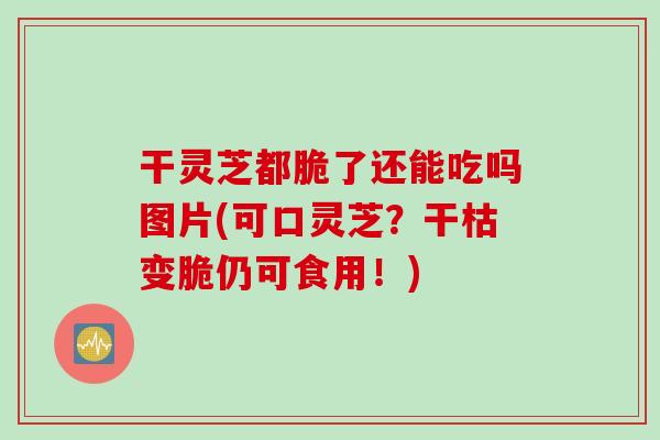 干灵芝都脆了还能吃吗图片(可口灵芝？干枯变脆仍可食用！)