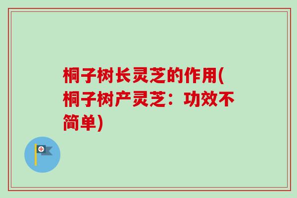 桐子树长灵芝的作用(桐子树产灵芝：功效不简单)
