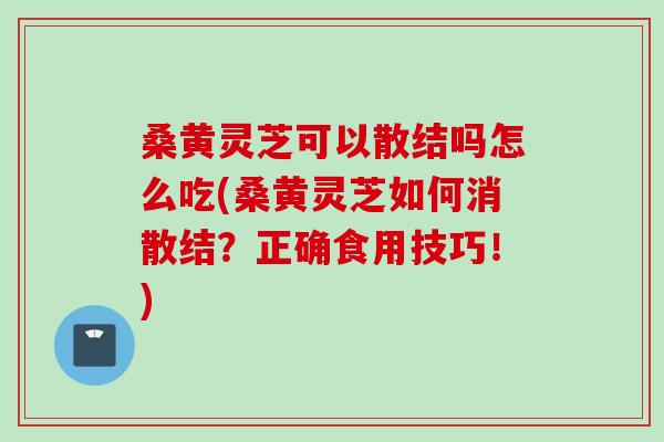 桑黄灵芝可以散结吗怎么吃(桑黄灵芝如何消散结？正确食用技巧！)