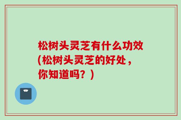 松树头灵芝有什么功效(松树头灵芝的好处，你知道吗？)
