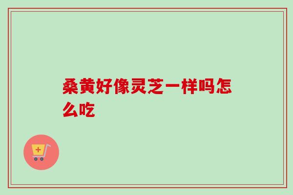 桑黄好像灵芝一样吗怎么吃