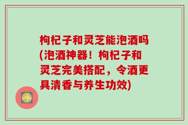 枸杞子和灵芝能泡酒吗(泡酒神器！枸杞子和灵芝完美搭配，令酒更具清香与养生功效)
