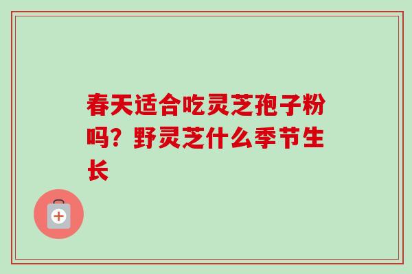 春天适合吃灵芝孢子粉吗？野灵芝什么季节生长