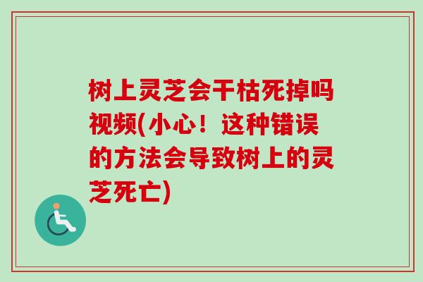 树上灵芝会干枯死掉吗视频(小心！这种错误的方法会导致树上的灵芝死亡)