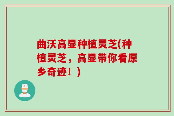 曲沃高显种植灵芝(种植灵芝，高显带你看原乡奇迹！)