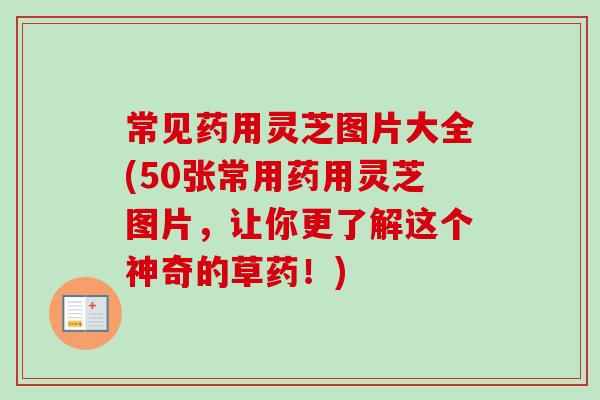 常见药用灵芝图片大全(50张常用药用灵芝图片，让你更了解这个神奇的草药！)