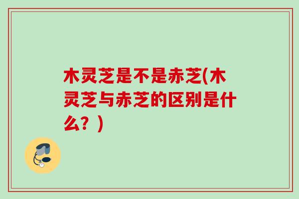 木灵芝是不是赤芝(木灵芝与赤芝的区别是什么？)