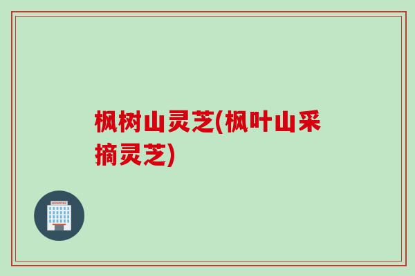 枫树山灵芝(枫叶山采摘灵芝)
