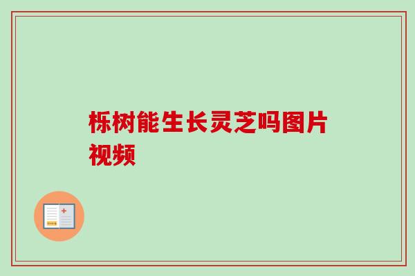 栎树能生长灵芝吗图片视频