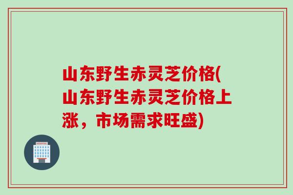 山东野生赤灵芝价格(山东野生赤灵芝价格上涨，市场需求旺盛)