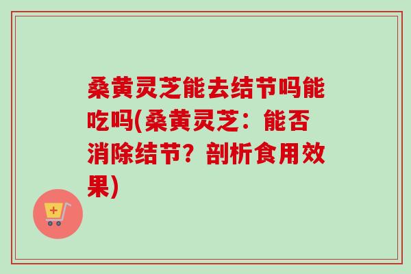 桑黄灵芝能去结节吗能吃吗(桑黄灵芝：能否消除结节？剖析食用效果)