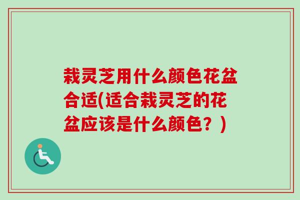 栽灵芝用什么颜色花盆合适(适合栽灵芝的花盆应该是什么颜色？)