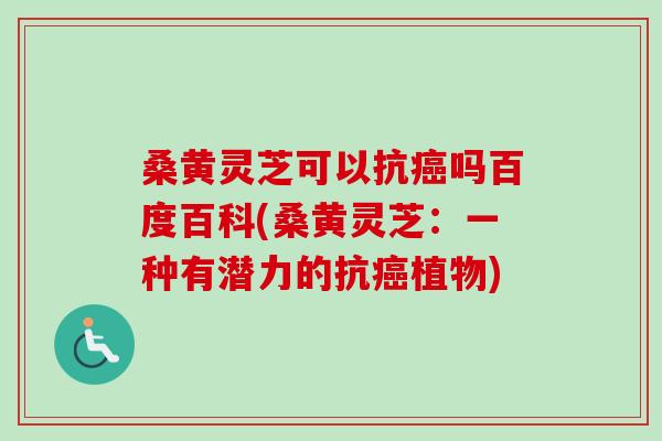 桑黄灵芝可以抗癌吗百度百科(桑黄灵芝：一种有潜力的抗癌植物)