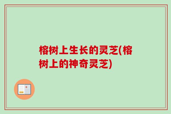 榕树上生长的灵芝(榕树上的神奇灵芝)