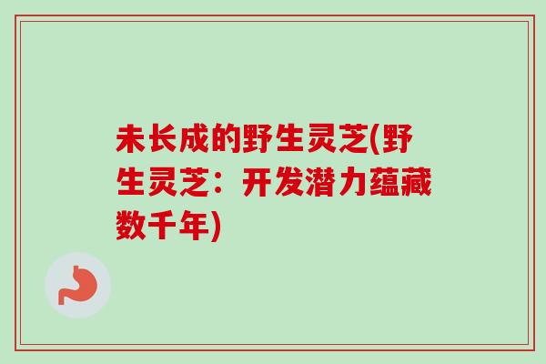未长成的野生灵芝(野生灵芝：开发潜力蕴藏数千年)