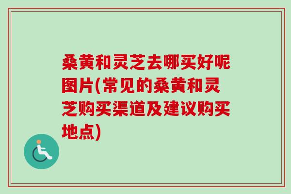 桑黄和灵芝去哪买好呢图片(常见的桑黄和灵芝购买渠道及建议购买地点)